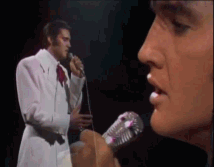 Elvis gif