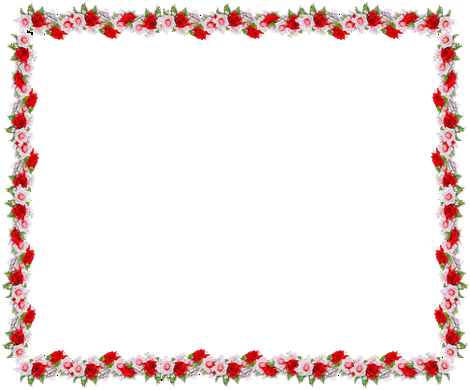 rose border