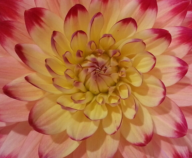 yellow red background