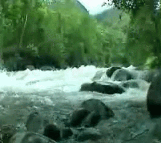 water gif